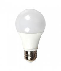 Ampoule LED E27 8W (60W)